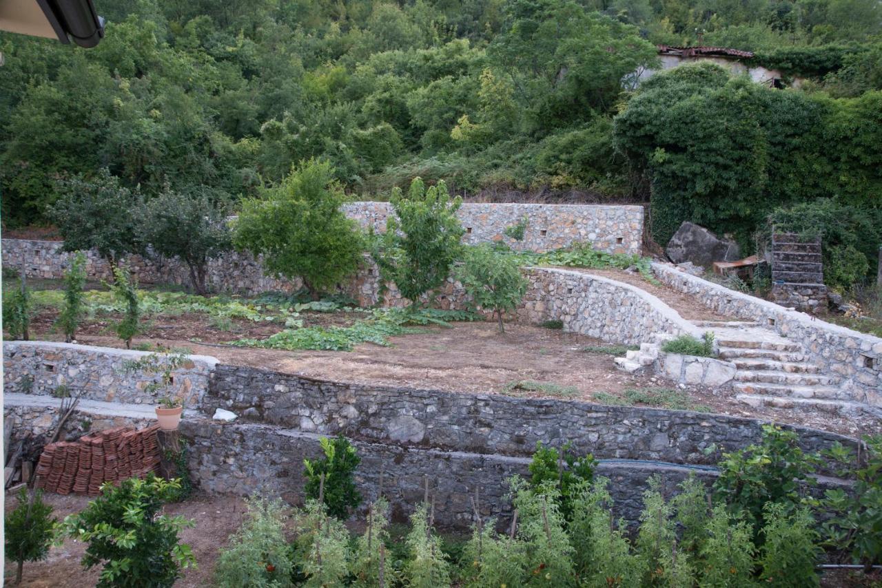 Village House Dunja Virpazar Luaran gambar