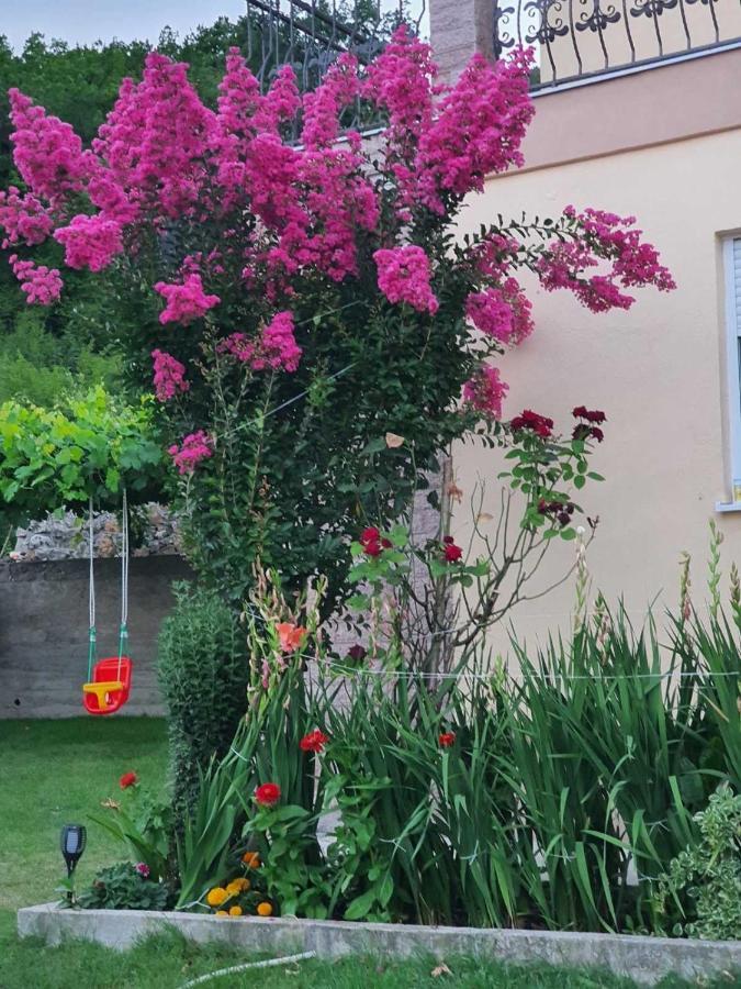 Village House Dunja Virpazar Luaran gambar